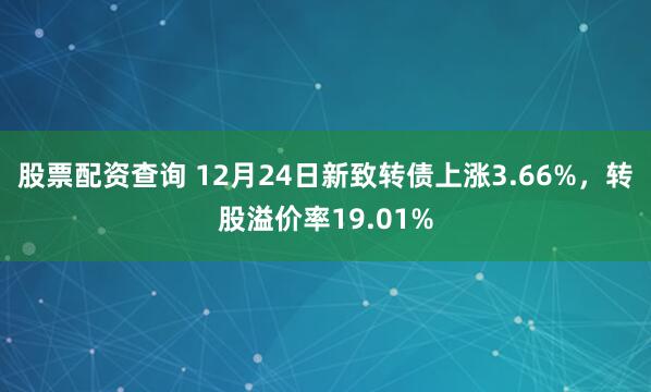 股票配资查询 12月24日新致转债上涨3.66%，转股溢价率19.01%